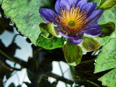 -国家植物园南园