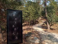 -南京市无想山景区