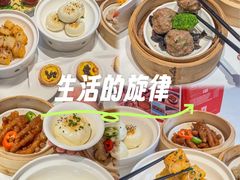 -陶缘一号·四季缘·老字号顺德菜·户外婚礼家宴(西滘店)