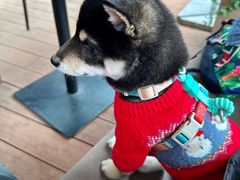 -La Terre乐田(万象城店)