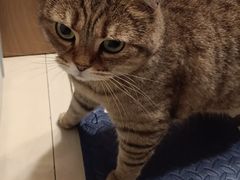 -美联众合动物医院·24h京西诊疗中心