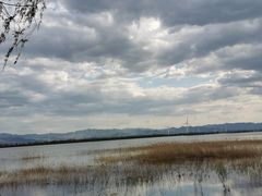 -野鸭湖国家湿地公园