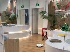 -COLOR PETS 撸猫馆·购猫·猫咖(长风大悦城店)
