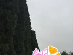 -汉景帝阳陵博物院