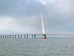-深圳湾公园(南山区)