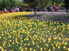 -长春公园(普阳街道)