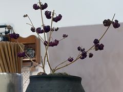 -鲜味烧卖店(斜西街店)