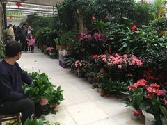 -秦美花卉(天朗·莱茵小城2期店)