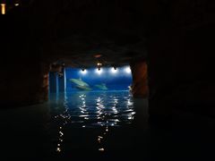 -横琴湾水世界