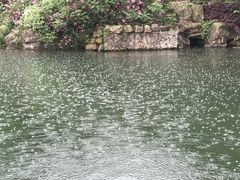 -白马涧龙池景区