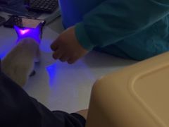 -中农国际动物医院24小时·猫科·骨科·急重症中心