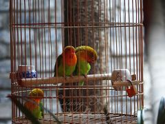 -鱼桥巷·美学川菜