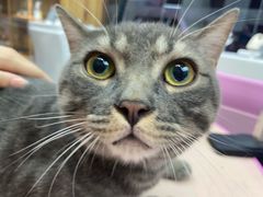-FAELING PETS美天灵宠物(富力广场店)