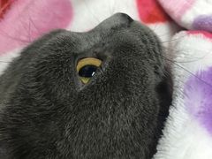 -达爱动物医院·犬猫分区·CT·复杂眼科(远洋山水分院)