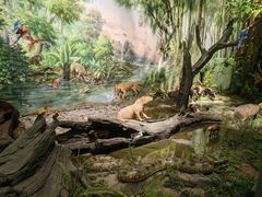 -武汉园博园(武汉自然博物馆)