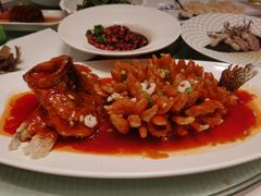 松鼠桂鱼-同济大酒店(绿宝广场店)
