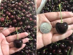 -西郊国际农产品交易中心