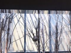 -新华里咖啡书吧(新华书店小寨店)