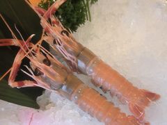 -菊上日式料理(蚌埠银泰店)
