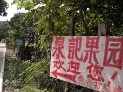 -黄埔古港