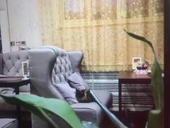 -吱咖啡西式简餐