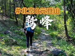 -北京鹫峰国家森林公园