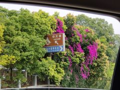 -桃源山庄·水蜜桃采摘·柴火鸡·烧烤团建(龙泉山店)