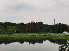 -白鹭湾湿地公园