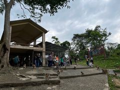 -广西龙虎山风景区
