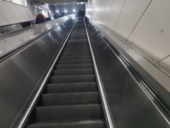 -席仁堂推拿按摩脊柱调理(世纪科贸大厦店)