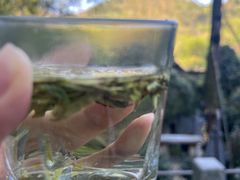 -嘉龙茶庄