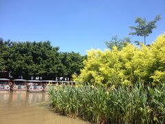 -大湾区中央湿地公园
