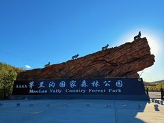 -茅兰沟国家森林公园