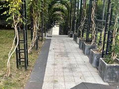 -海兰云天度假区温泉