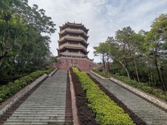 -福神岗公园