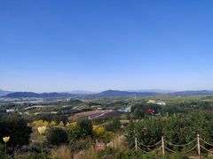 -密云玫瑰情园