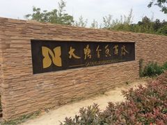 -大塘金香草谷