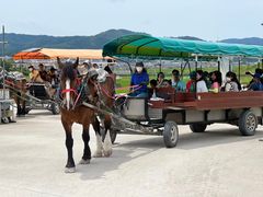 -岚山嵯峨野观光小火车