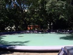 -九龙公园