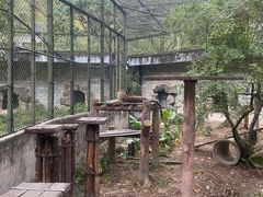 -福州动物园