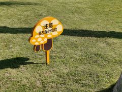 -石炮台公园