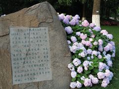 -常州古运河南大街文化旅游区-人民公园