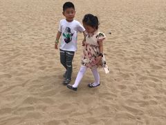 -巨鹏飞梦幻海岸