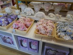 -安吉Hello Kitty乐园