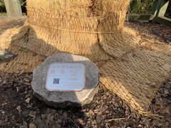 -上海佘山国家森林公园天马山园