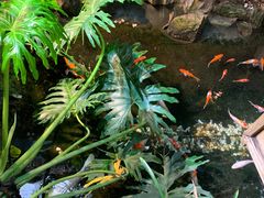 -聚缘堂·海鲜私房菜(松岭路店)