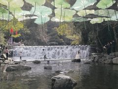 -石台牯牛降景区