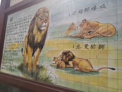 -保定市动物园