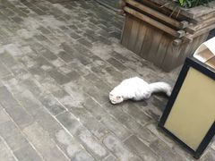 -七贤国际青年旅舍(西七路分店)