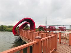 -芒洲湿地公园